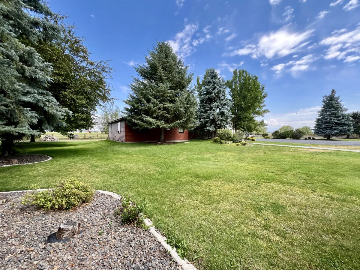A serene setting with a lush green lawn, a mix of tall and smaller trees, and a red country house in the background. The open area is bathed in sunlight, perfect for children’s play, outdoor games, and relaxed family gatherings.