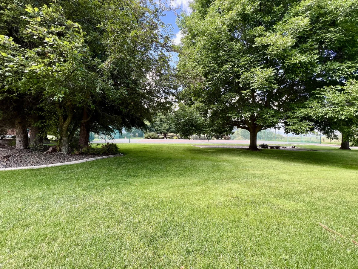 A broad expanse of vibrant green lawn is dotted with towering trees, with a tennis court visible in the distance. The scene exudes tranquility and sets the stage for family games, sunbathing, or quiet reflection.