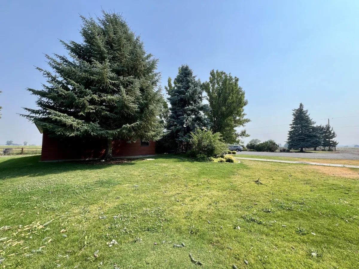A sweeping view of tall evergreen trees and a green lawn frames a striking red wooden structure, all under open skies. The extensive grassy area suggests space for picnics, stargazing, and leisurely walks, while the trees provide a secluded, peaceful atmosphere.